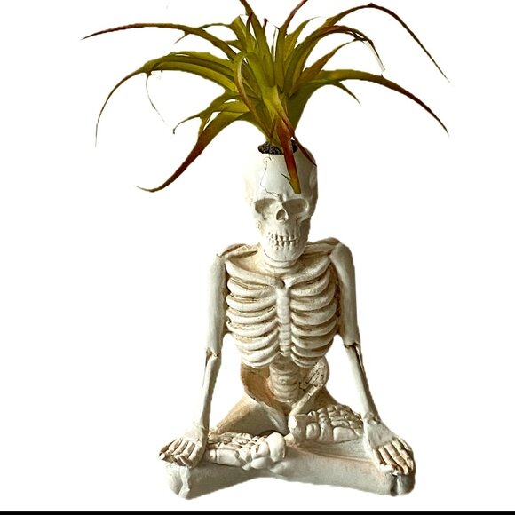 Pair of Table Top Zen Yoga Skeleton Faux Plant Decor Lotus NWT - Picture 1 of 8